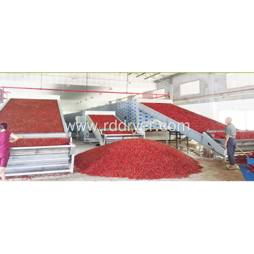 Hot pepper dryer color quality and energy saving